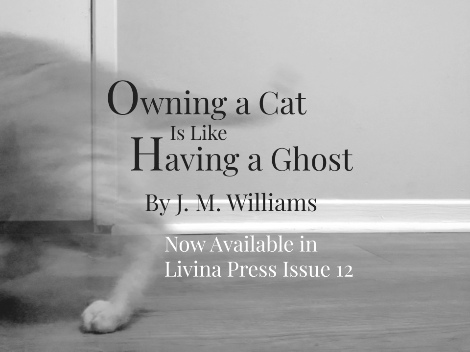 FLASH FICTION: Owning a Cat Is Like Having a Ghost