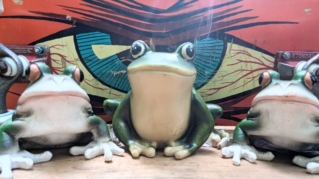 MUSIC REVIEW: Frog Patrol
